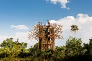 Koka naktsmītne "Baobab Treehouse" Botsvānā  - 1