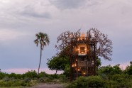 Koka naktsmītne "Baobab Treehouse" Botsvānā  - 5