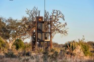 Koka naktsmītne "Baobab Treehouse" Botsvānā  - 7
