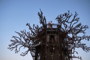Koka naktsmītne "Baobab Treehouse" Botsvānā  - 12