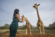Viesnīca Āfrikā "Žirafu muiža" - 30
