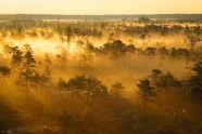Miglas rīts Lielajā Ķemeru tīrelī - 16