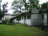 Vēja izgāzts koks sabojā sabiedriskās tualetes ēku Vērmanes dārzā