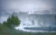 Latgales miglainās ainavas Туманные пейзажи Латгалии