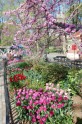Central-Park-Springtime-Col