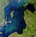 Зеленая Балтика