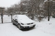 Sniegs Rīgā - 1