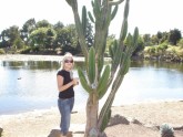 big kaktus