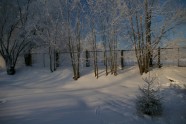 Winter wonderland - 2