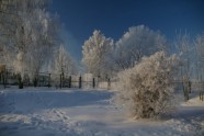 Winter wonderland - 3