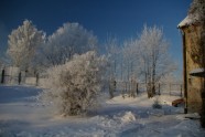 Winter wonderland - 4