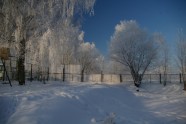 Winter wonderland - 5