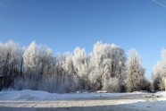 Ziemas sarma Rīgā