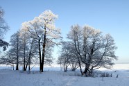 Ziemas sarma Rīgā