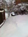 Sniegs Latvijā - 15