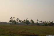 Индия, Гоа 2010 - 261