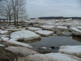 Ledus iešana Daugavā 