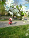 Spring in Latvija