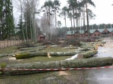 Jāņa Daliņa stadionā Valmierā izcirsti koki