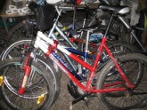 Policija atrod zagtus velosipēdus - 12