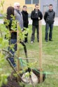 Vankūveras medaļnieki stāda kokus Olimpiešu alejā - 7