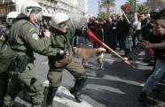 Protestējošais suns Grieķijā - 6
