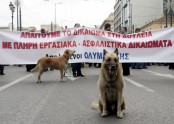 Protestējošais suns Grieķijā - 7