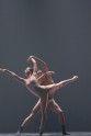 COMPLEXIONS mūsdienu balets - 76 by Marc Litvyakoff