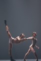 COMPLEXIONS mūsdienu balets - 77 by Marc Litvyakoff