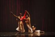 COMPLEXIONS mūsdienu balets - 204 by Yuris Zaleskis