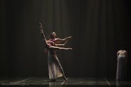 COMPLEXIONS mūsdienu balets - 223 by Yuris Zaleskis