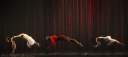 COMPLEXIONS mūsdienu balets - 240 by Yuris Zaleskis