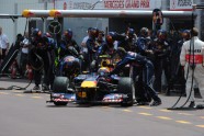 F1: Monte Carlo 2010 - 29