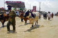 Plūdi Pakistānā - 3