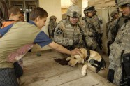 ASV armijas suņi Irākā - 5