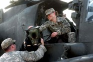 ASV armijas suņi Irākā - 11