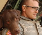 ASV armijas suņi Irākā - 12