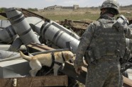 ASV armijas suņi Irākā - 18