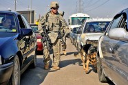 ASV armijas suņi Irākā - 23
