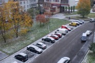 Pirmais sniegs Rīgā - 1
