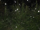 снег в Елгаве