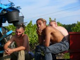 Vīnogu vākšana Francijā - 9