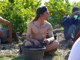Vīnogu vākšana Francijā - 11