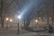 Sniegputenis Igaunijā - 6