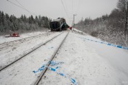 Vilciena avārija Igaunijā - 18