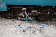 Vilciena avārija Igaunijā - 45