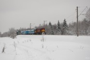 Vilciena avārija Igaunijā - 58