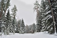 Зима_Латвия_2011