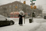 sniegs NYC