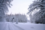 Elektrolīniju atbrīvošana no sniega un kokiem - 10